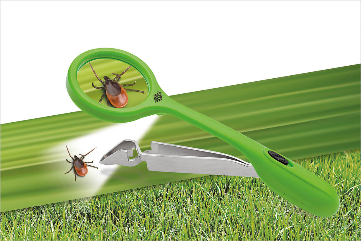 WEDO® Zeckenzange Quickex®